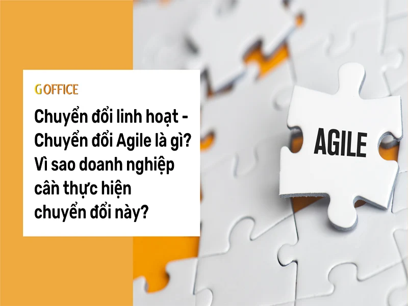 Chuyển đổi Agile là gì? Tầm quan trọng của việc chuyển đổi Agile đối với doanh nghiệp